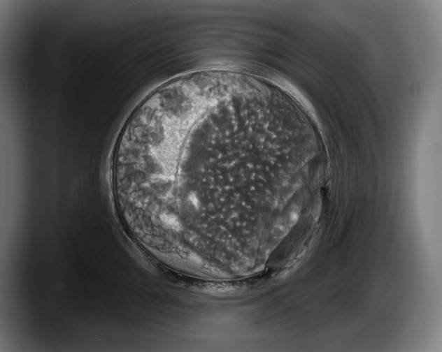 X0000087510907200705251616