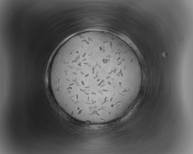 X0000087510908200705251616