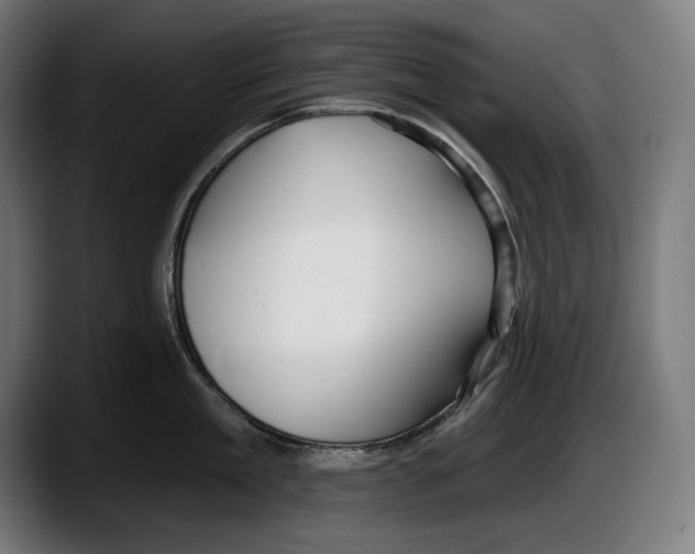 X0000087510909200705251616