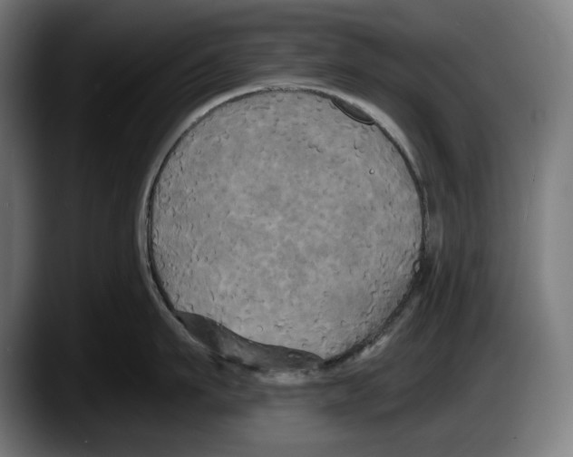 X0000087510911200705251616