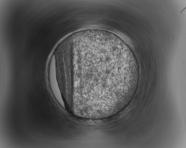 X0000087510912200705251616