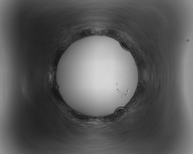 X0000087510914200705251615