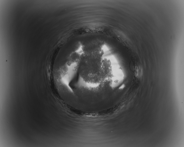 X0000087510915200705251616