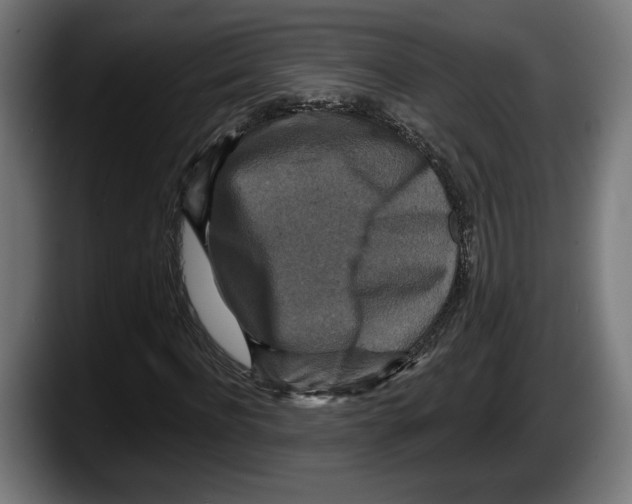 X0000087510916200705251616