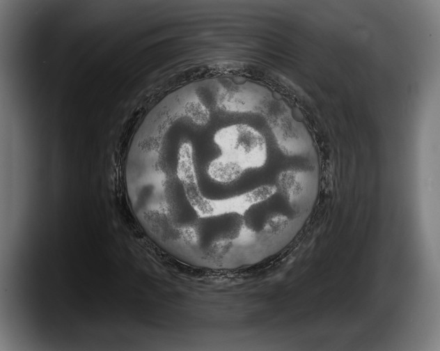 X0000087510917200705251616