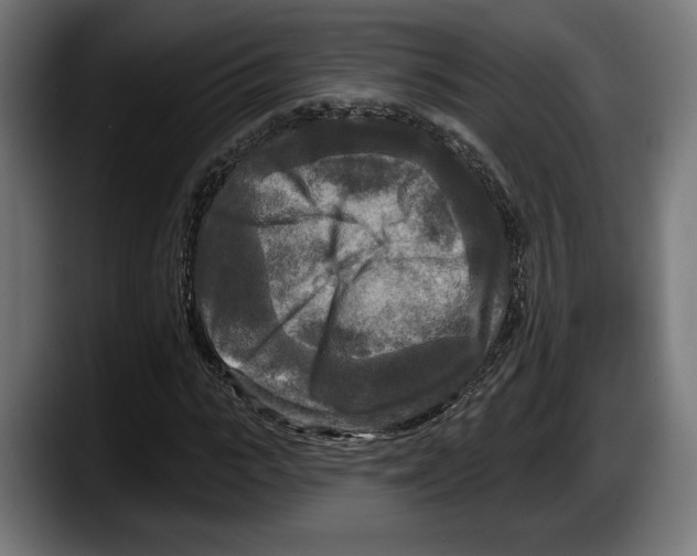 X0000087510919200705251616