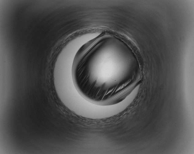 X0000087510920200705251616