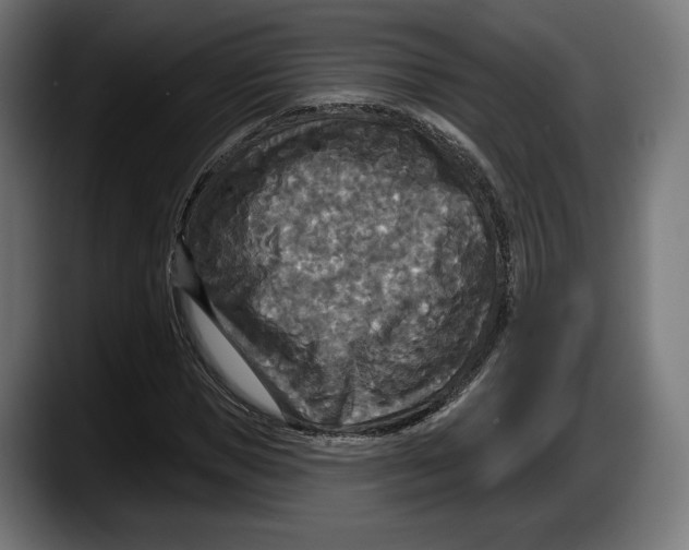 X0000087510921200705251616