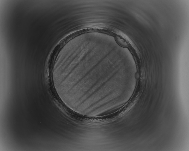 X0000087510923200705251616