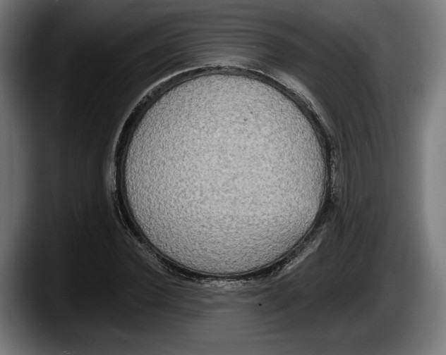 X0000087510924200705251616