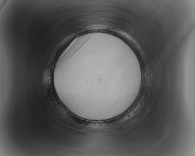 X0000087510929200705251616