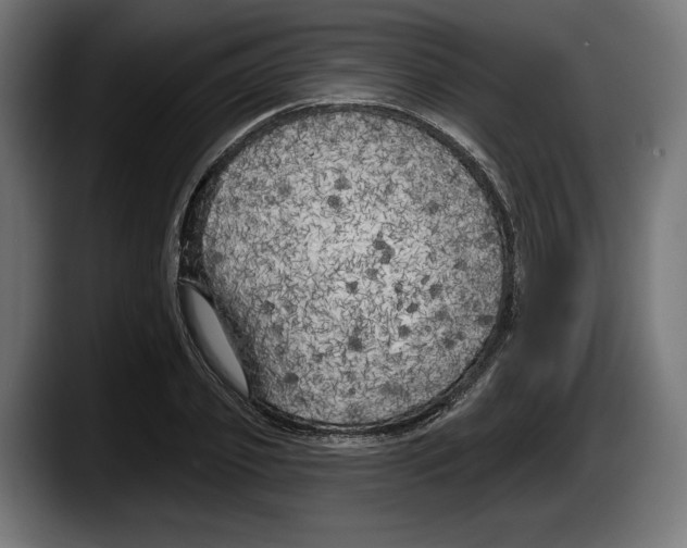 X0000087510933200705251616