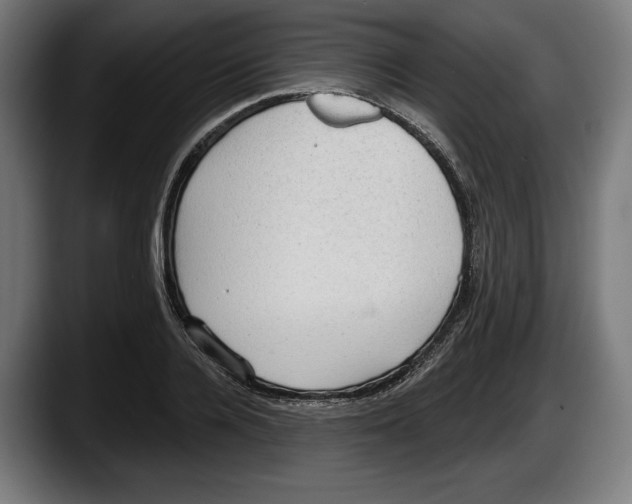 X0000087510936200705251616