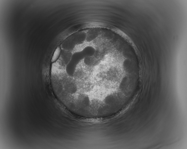 X0000087510937200705251616