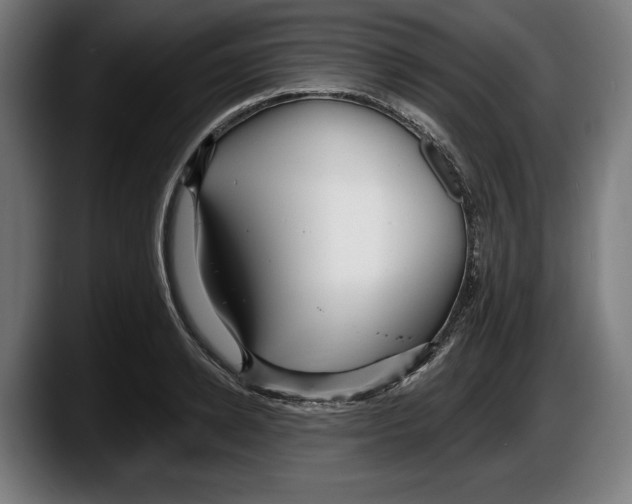 X0000087510942200705251616