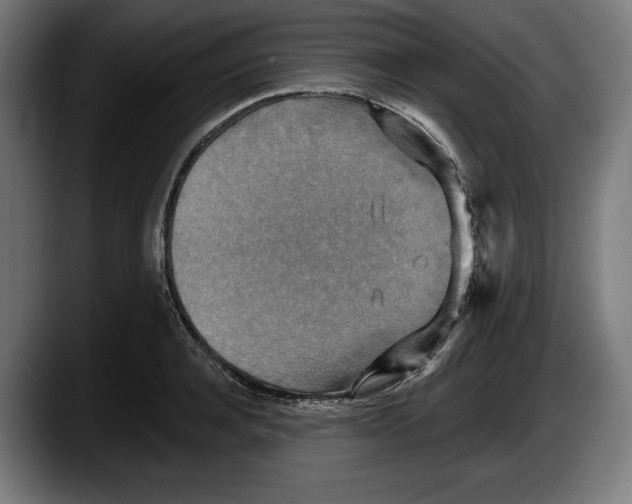 X0000087510944200705251616