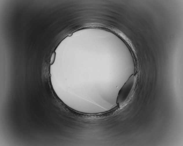 X0000087510945200705251616