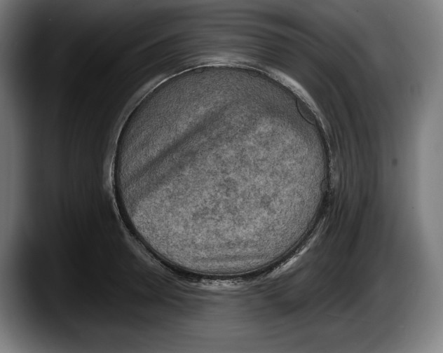 X0000087510946200705251616