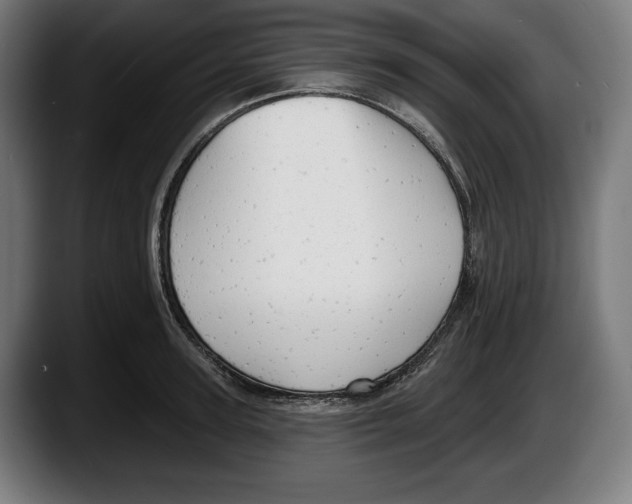 X0000087510947200705251616