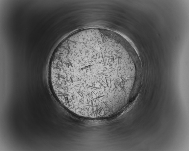 X0000087510949200705251616