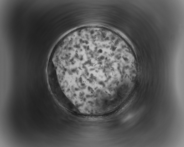 X0000087510951200705251616