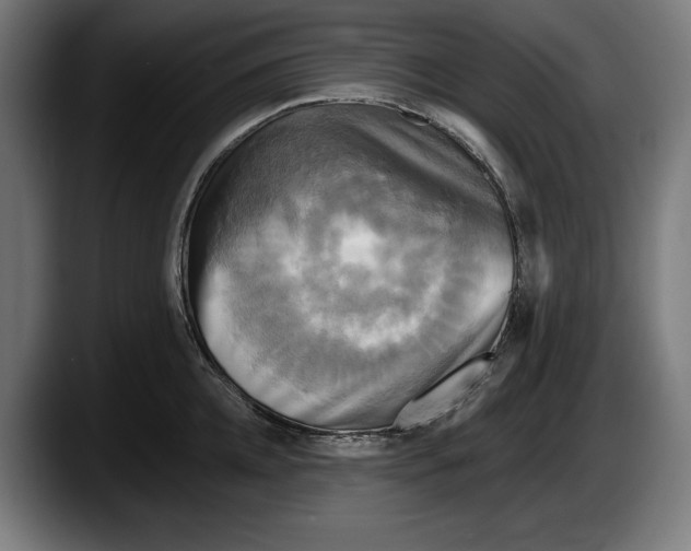 X0000087510952200705251616