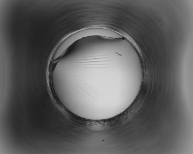 X0000087510955200705251616