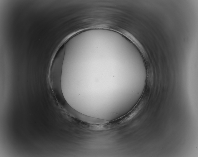 X0000087510956200705251616