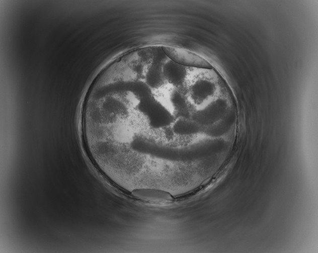 X0000087510957200705251616