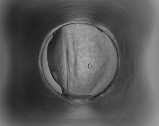 X0000087510960200705251616