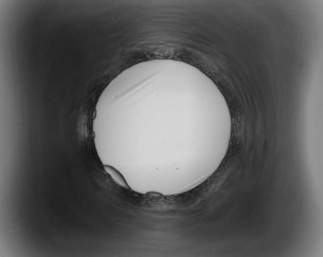 X0000087510962200705251615