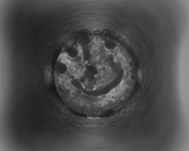 X0000087510963200705251615