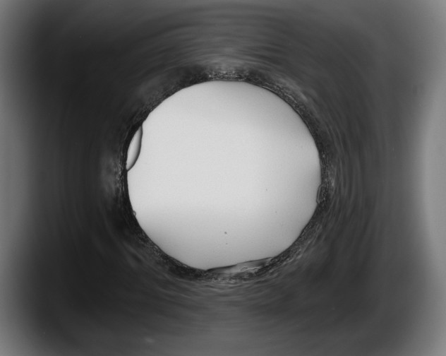 X0000087510964200705251615