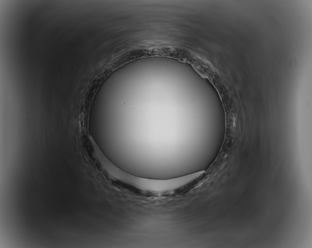 X0000087510965200705251615