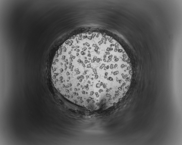 X0000087510967200705251615