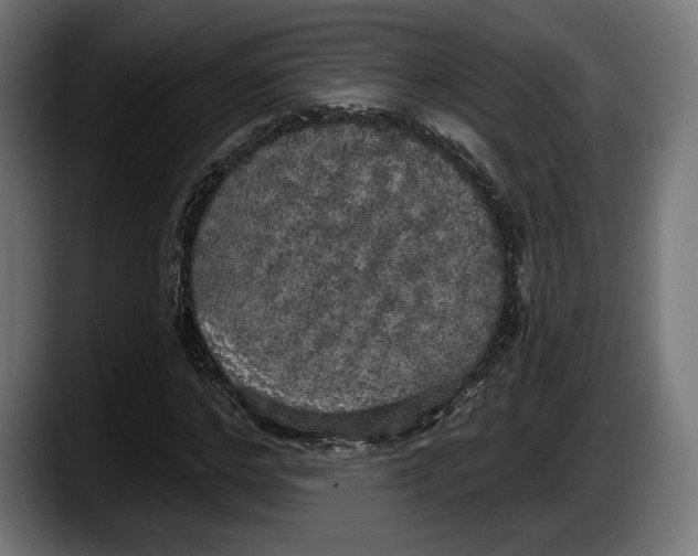 X0000087510968200705251615