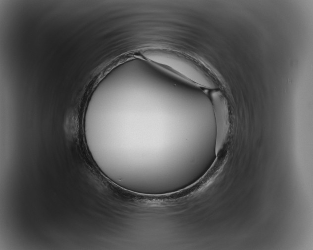 X0000087510969200705251615