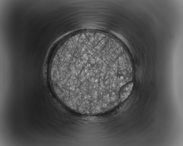 X0000087510971200705251615