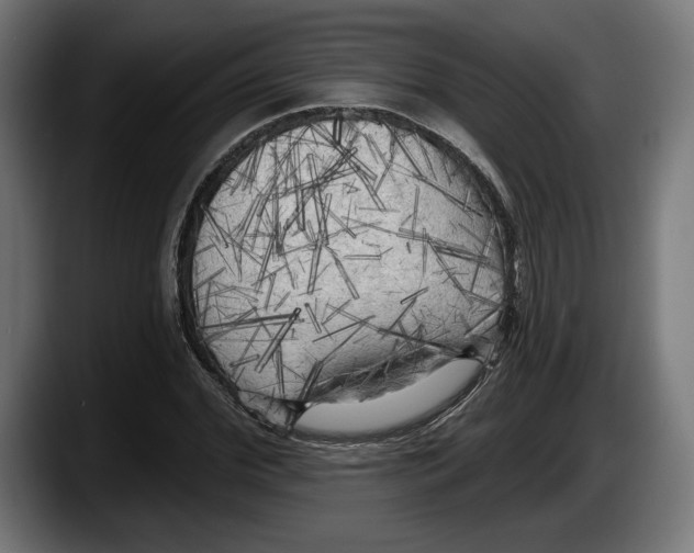 X0000087510972200705251615