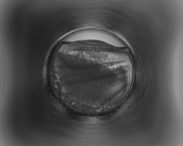 X0000087510975200705251615