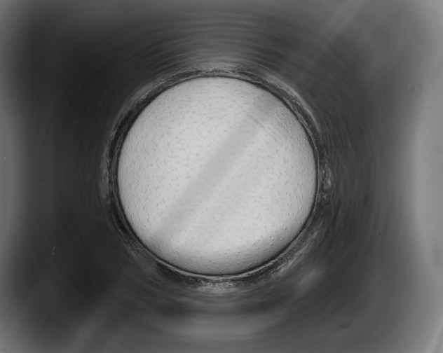 X0000087510978200705251615