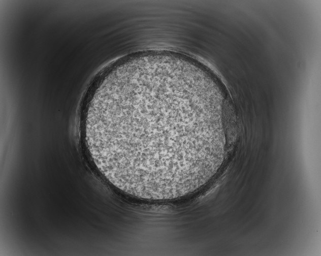 X0000087510979200705251615