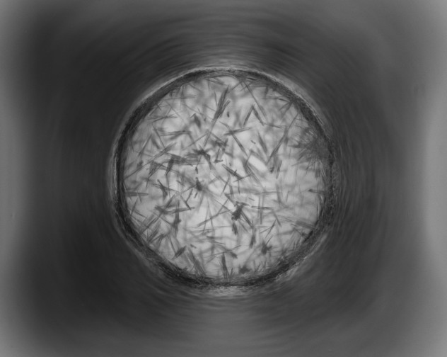 X0000087510982200705251615