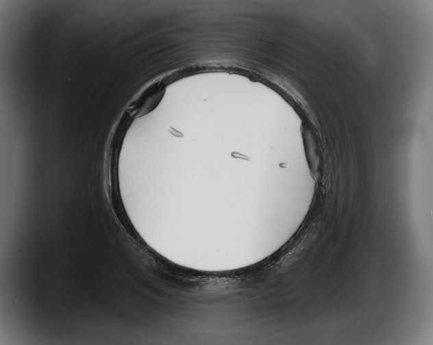 X0000087510984200705251615