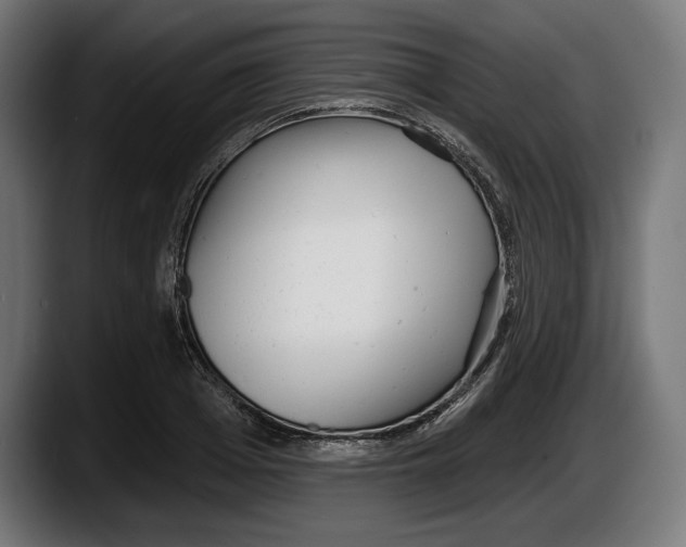 X0000087510985200705251615