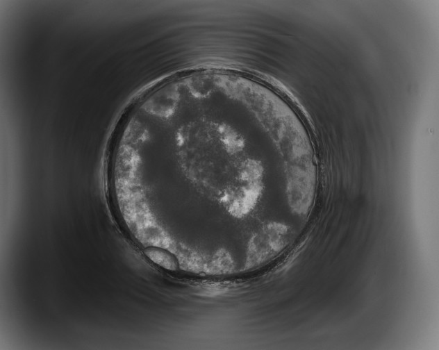 X0000087510987200705251615