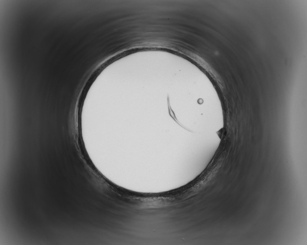 X0000087510988200705251615