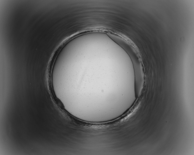 X0000087510989200705251615