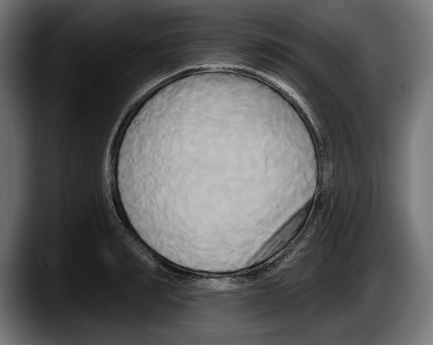 X0000087510990200705251615