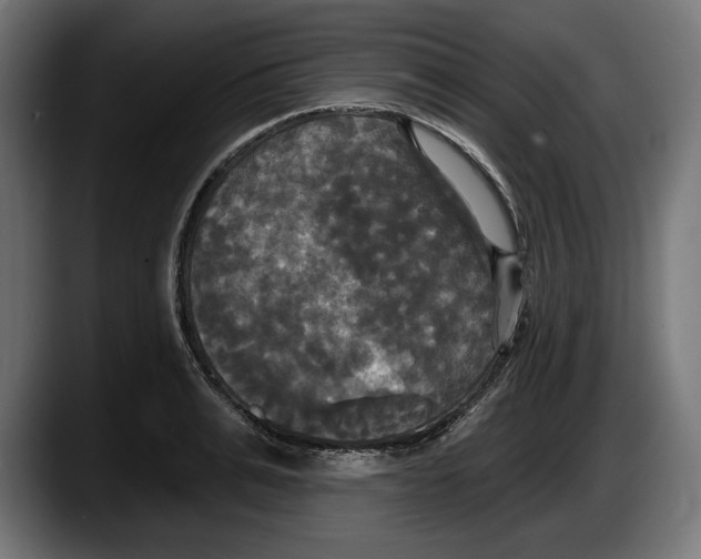 X0000087510991200705251615